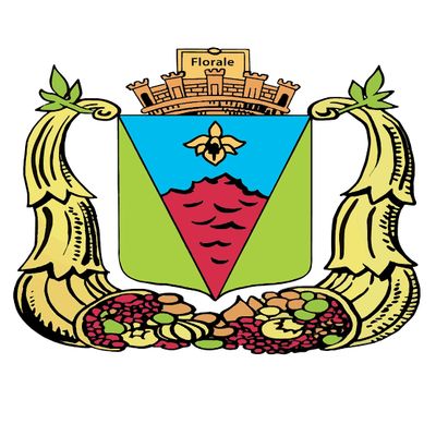 Commune du Tampon